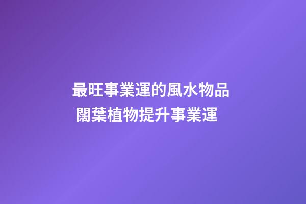 最旺事業運的風水物品  闊葉植物提升事業運